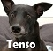 :tenso: